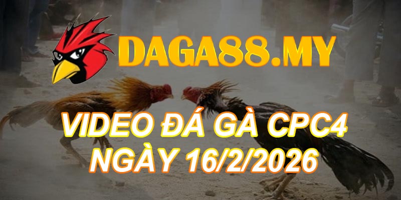 VIDEO GÀ CPC4 NGÀY 16/2/2026