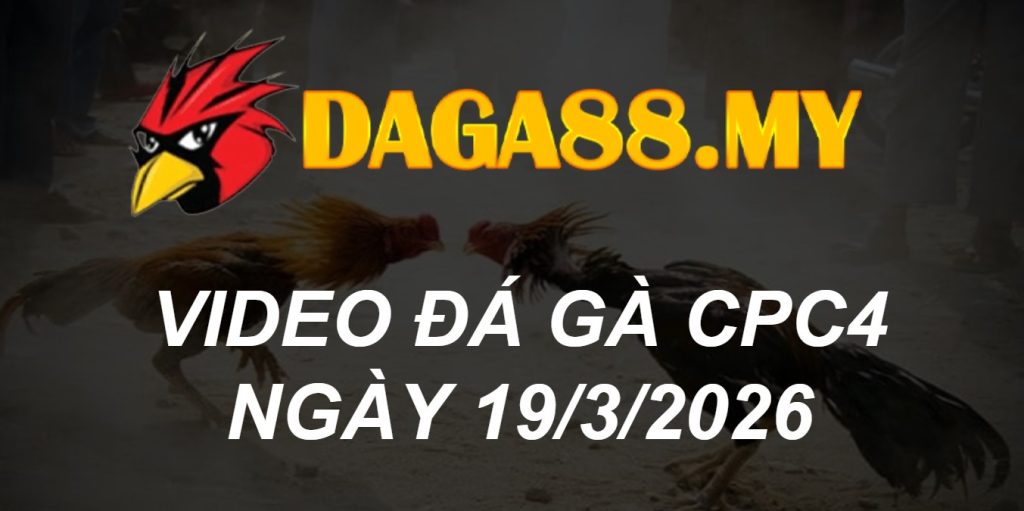 VIDEO GÀ CPC4 NGÀY 19/3/2026