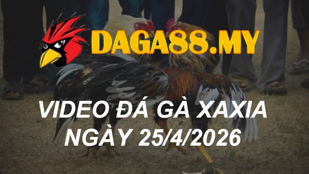 Video gà XAXIA ngày 25/04/2026